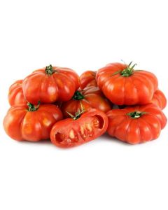 Beef Tomato - Netherlands   