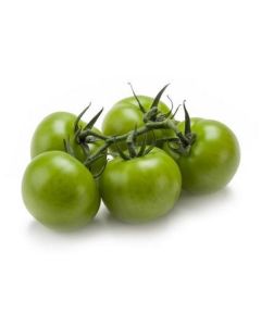 Green Vine Tomatoes - Netherlands   