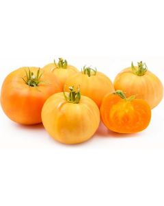 Yellow Heirloom Tomatoes - Netherlands   