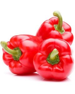 Red Capsicum - Netherlands   