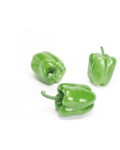 Green Baby Capsicum - Netherlands   