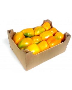 Orange Capsicum - Netherlands   