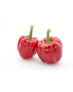 Red Baby Capsicum - Netherlands   