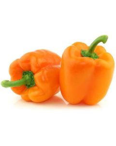 Orange Baby Capsicum - Netherlands   