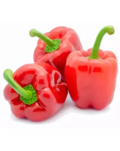 Red Capsicum - Nethelands   