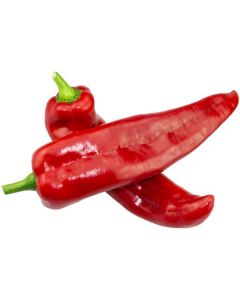 Capsicum Ramiro Red - Netherlands   