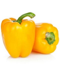 Yellow Capsicum - Netherlands   