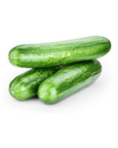 Cucumber - Kuwait   