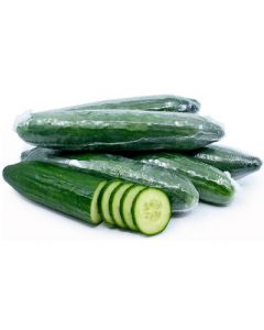 Cucumber Large - Netherlands   