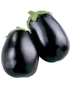 Black Baby Eggplant - Kuwait   