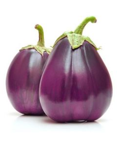 Purple Eggplant Round - Netherlands   