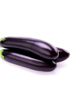 Long Eggplant Black   