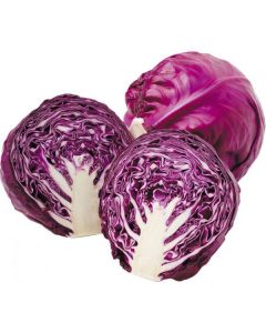 Red Cabbage - Iran   