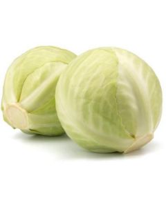 White Cabbage   