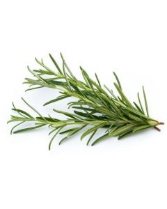 Rosemary - Netherlands 1 X  Bunch 