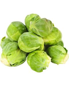 Brussel Sprouts - Netherlands   