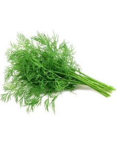 Dill Loose - Spain   