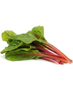 Red Chard Lettuce - Netherlands   