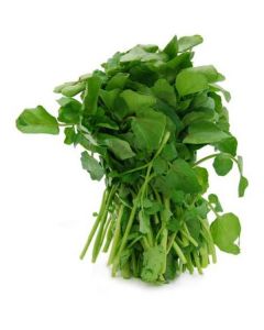 Spicy Water Cress - Netherlands 200 X  Piece 