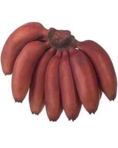 Banana Red Thailand   