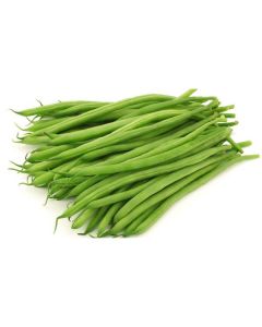 Haricots Beans - Netherlands   