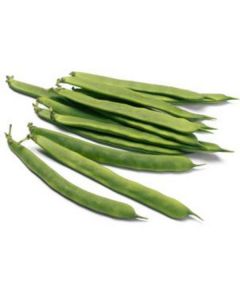 French Green Beans -Netherlands   