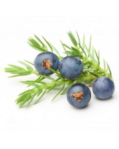 Juniper Berry   