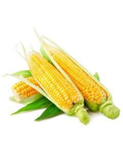 Yellow Corn - USA   