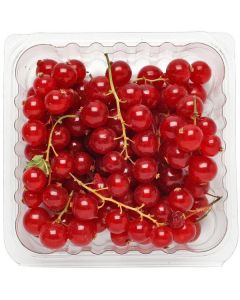 Red Currant - USA   