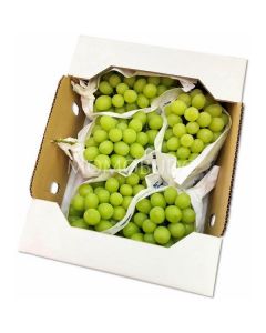 White Grapes Seedless - Italy   