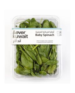 Baby Leaf Spinach   