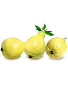 Guava - Egypt   