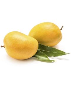 Alphonso Mango - India   