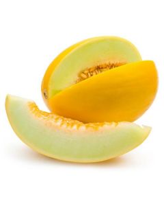 Yellow Melon Honeydew - Brazil   