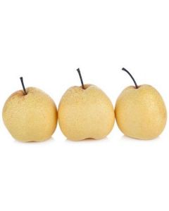 Nashi Pears - Chile   