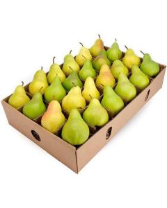 Anjou Pears - USA   