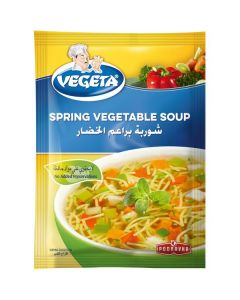 Spring Vegetable Soup   