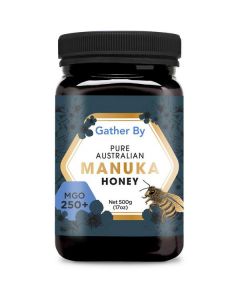 Pure Australian Manuka Honey MGO 250+ 12 X  Glass Jar 