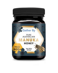 Pure Australian Manuka Honey MGO 800+ 3 X  Glass Jar 