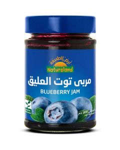 Organic Blueberry Jam 6 X  Glass Jar 