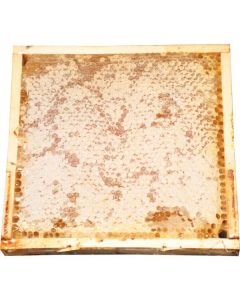 Acacia Honeycomb Natural 100%   