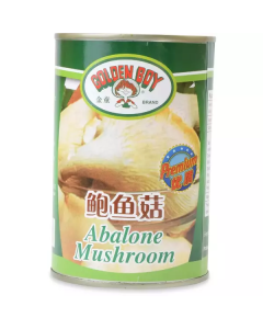 Canned Oyster Mushroom 24 X  Metal Can 