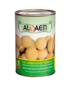 Canned Whole Mushroom 24 X  Metal Can 