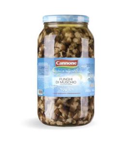 Canned Mushroom Muschio In Oil 4 X  Glass Jar 