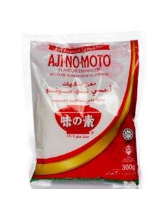 Flavor Enhancer (Monosodium GLTMT) 40 X  Pouch 