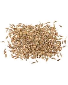 Cumin Seeds   