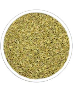 Fennel Seeds   