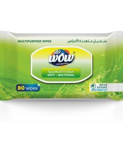 All Purpose Anti-Bacterial Wipes 20 X  Pouch 