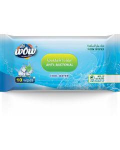 Anti-Bacterial Skin Wipes Cool Water 48 X  Pouch 