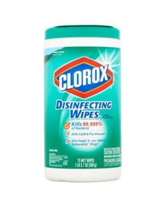 Disinfecting Wipes Fresh Scent 6 X  Plastic Jar 